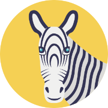 Friendly Zebra